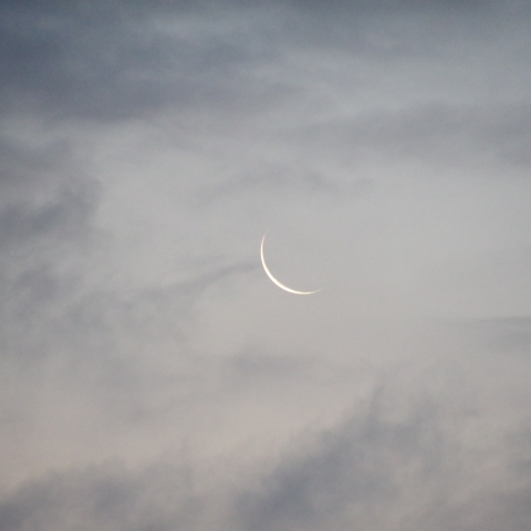 6/5の月（月齢28）