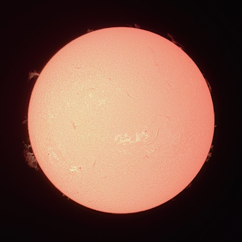 6/14の太陽（Hα）