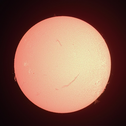 6/22の太陽（Hα）