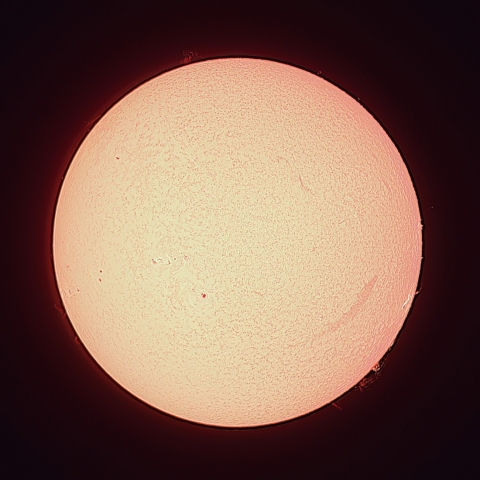 6/24の太陽（Hα）