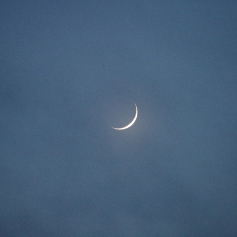 7/8の月（月齢2）