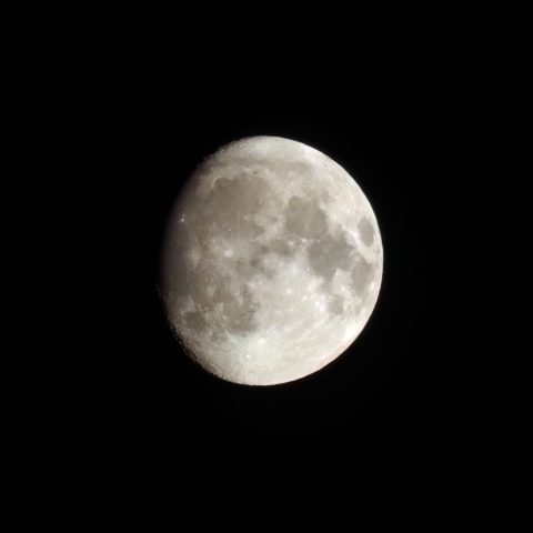 7/18の月（月齢13）