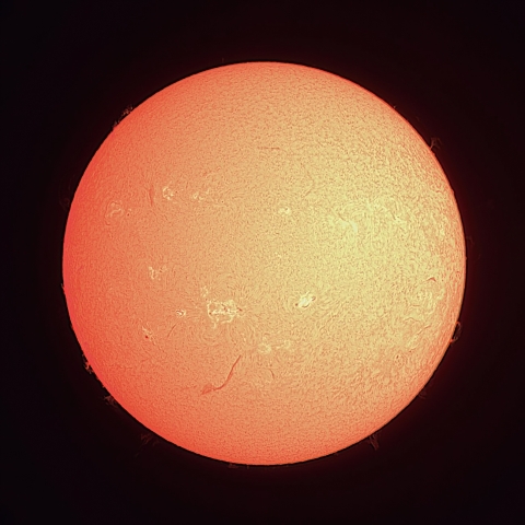 7/19の太陽（Hα）