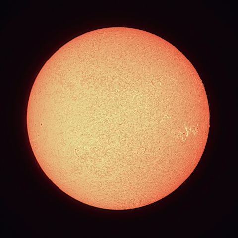 7/24の太陽（Hα）