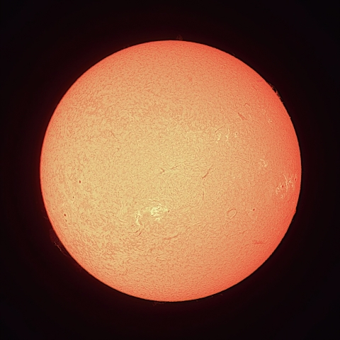 7/25の太陽（Hα）
