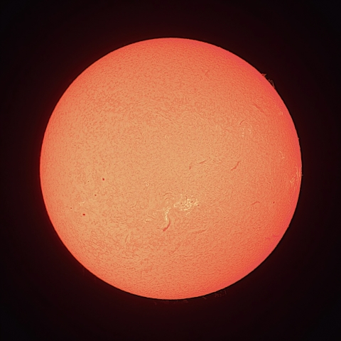 7/26の太陽（Hα）