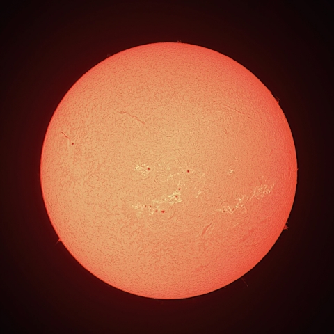 7/29の太陽（Hα）