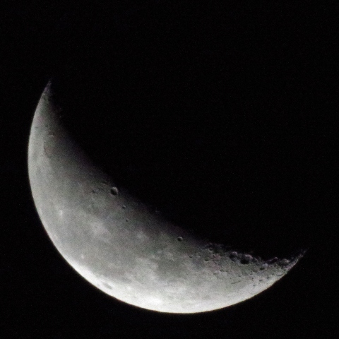 7/30の月（月齢24）