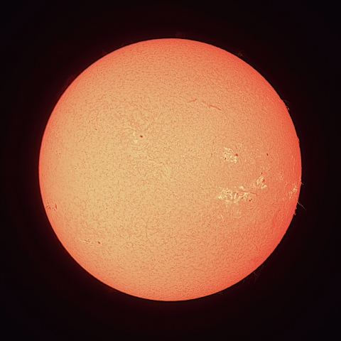 8/1の太陽（Hα）