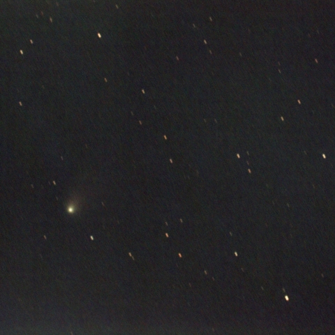 8/2の13P（Olbers彗星）