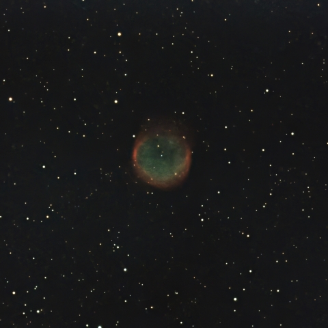 8/3のNGC6781