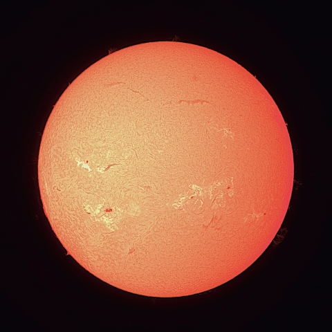 8/8の太陽（Hα）