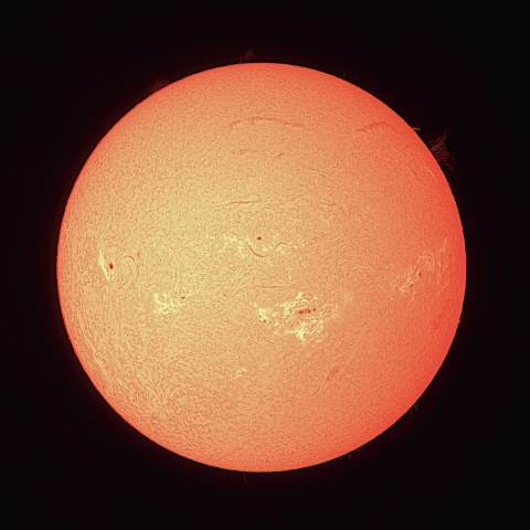 8/11の太陽（Hα）