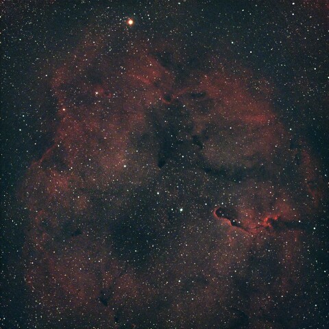 8/12のIC1396 & ガーネット・スター