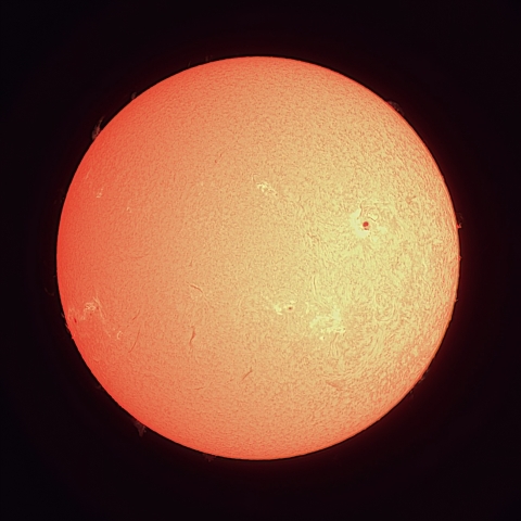 8/17の太陽（Hα）