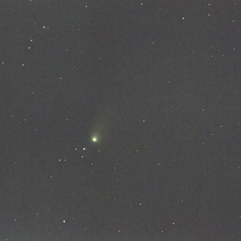 8/11の13P（Olbers彗星）