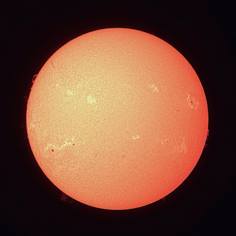 8/19の太陽（Hα）