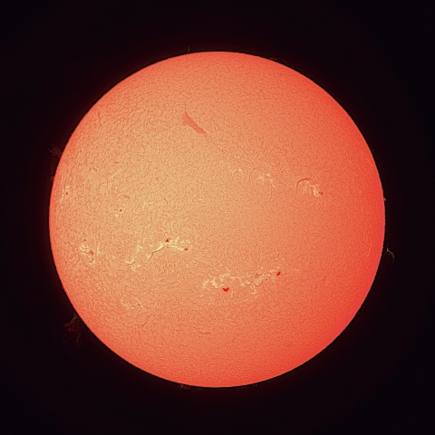 8/23の太陽（Hα）