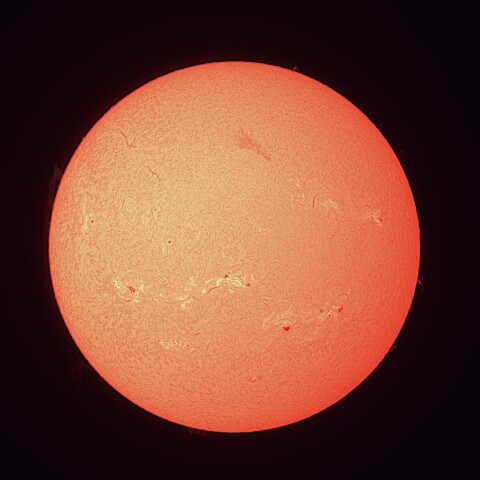 8/24の太陽（Hα）