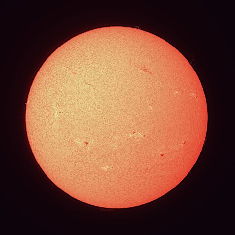 8/25の太陽（Hα）