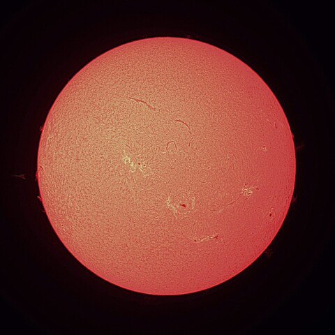 8/27の太陽（Hα）