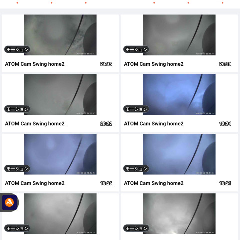 8/30夕方のブルーモーメント？