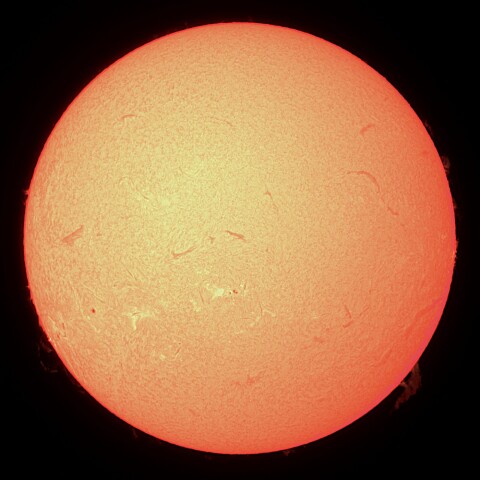 10/24の太陽（Hα）