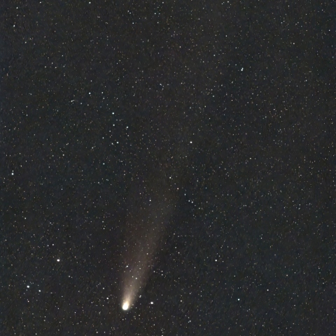 11/03の紫金山・アトラス彗星（C/2023 A3）