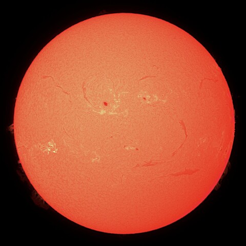 11/04の太陽（Hα）