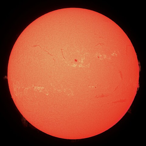 11/05の太陽（Hα）