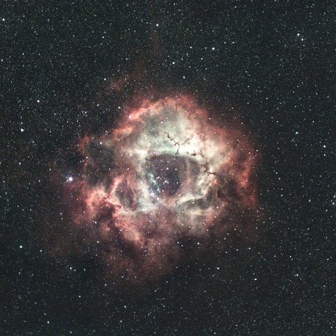 11/04のばら星雲