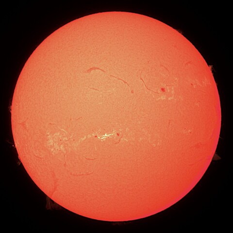 11/07の太陽（Hα）