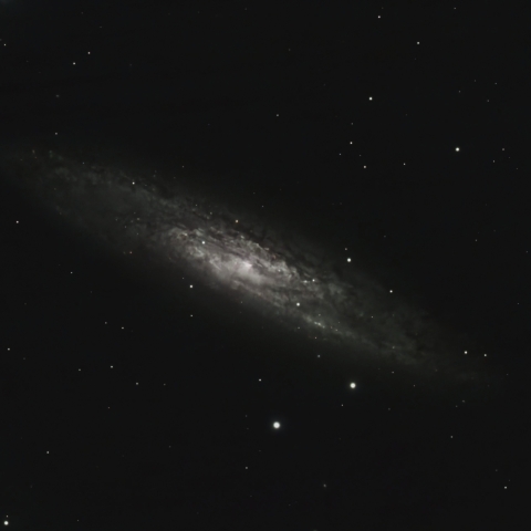 11/08のNGC253