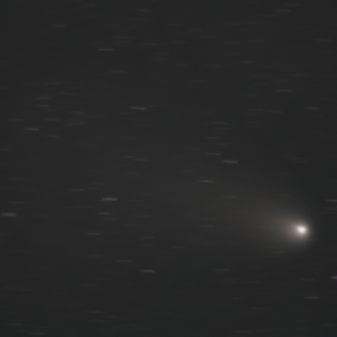 11/08の紫金山・アトラス彗星