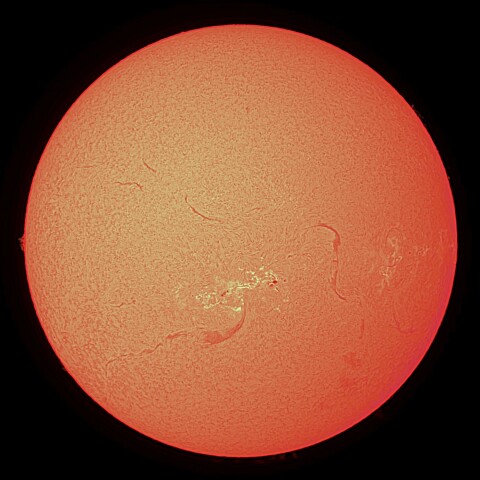 11/13の太陽（Hα）