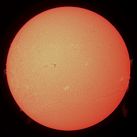 11/19の太陽（Hα）