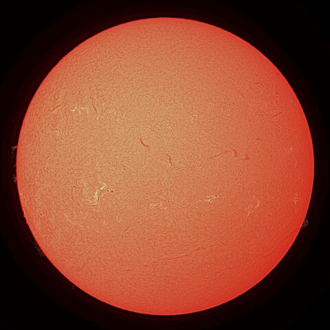 11/22の太陽（Hα）