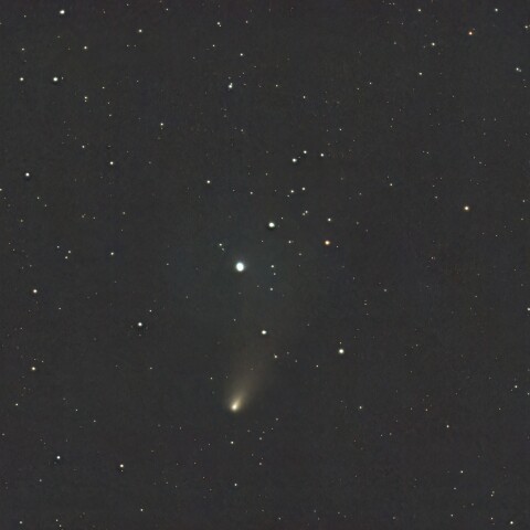 11/22の紫金山・アトラス彗星