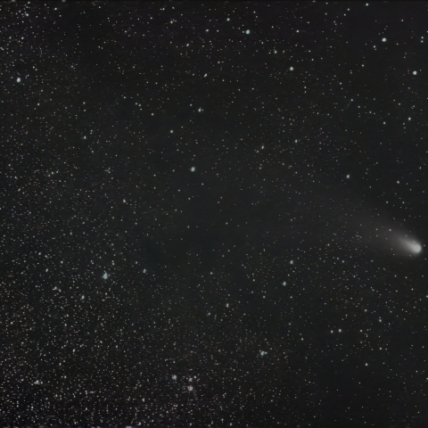 11/27の紫金山・アトラス彗星