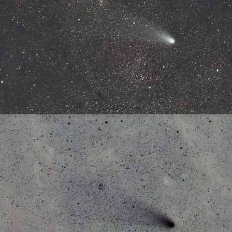 11/30の紫金山・アトラス彗星