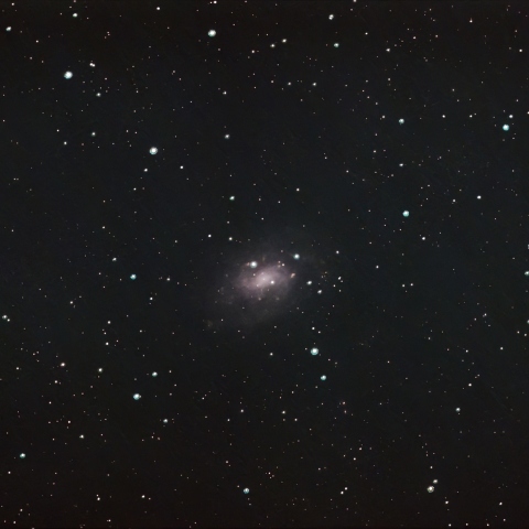 12/01のNGC300
