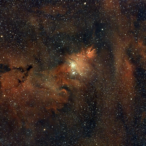 クリスマスツリー星団　コーン星雲