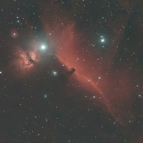 12/22のIC434（馬頭星雲）