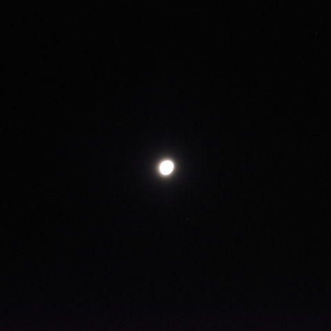 01/17の 月（月齢17）とレグルスとの接近