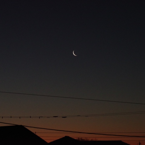 01/27の月（月齢26）と朝焼