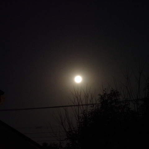 02/13の月とレグルスの接近