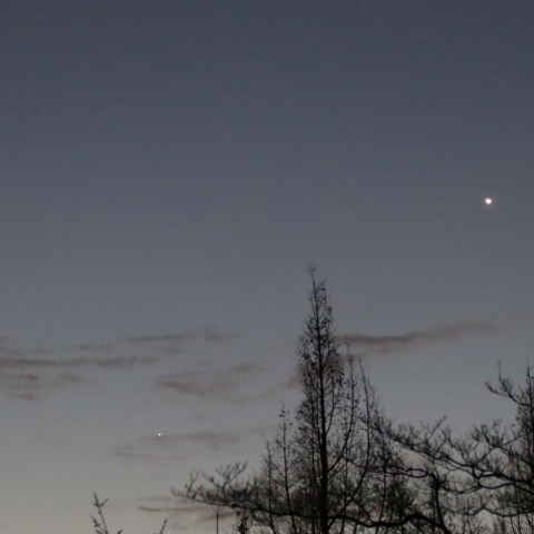 03/09の金星と水星