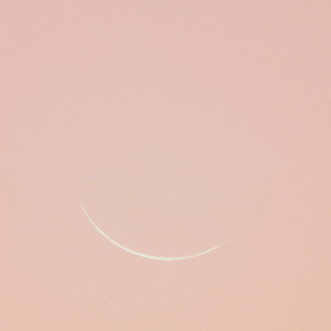 07/24早朝の月（月齢28？）