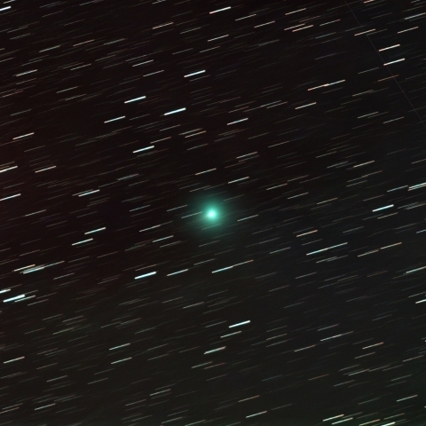 11/01のスワン彗星（C/2025 R2）