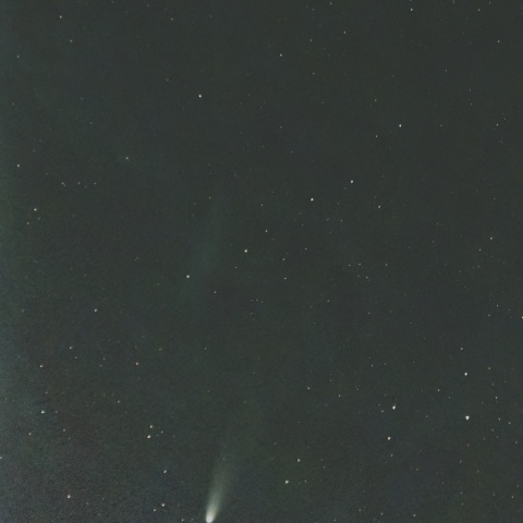 11/07のレモン彗星（C/2025 A6）